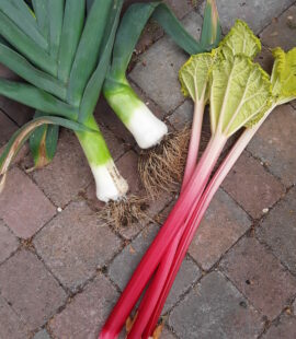 Leeks and Rhubarb